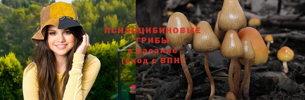 PSILOCYBIN Богородицк