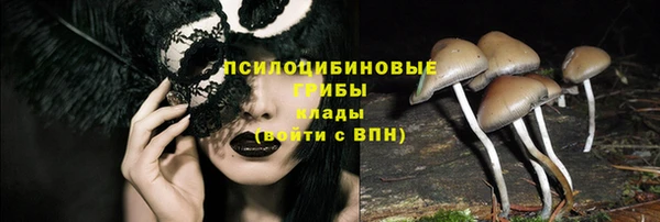 тгк Богданович