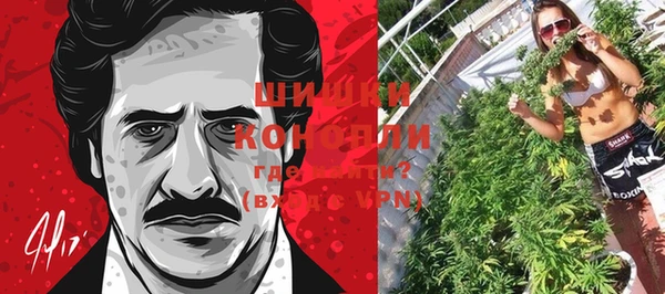 тгк Богданович