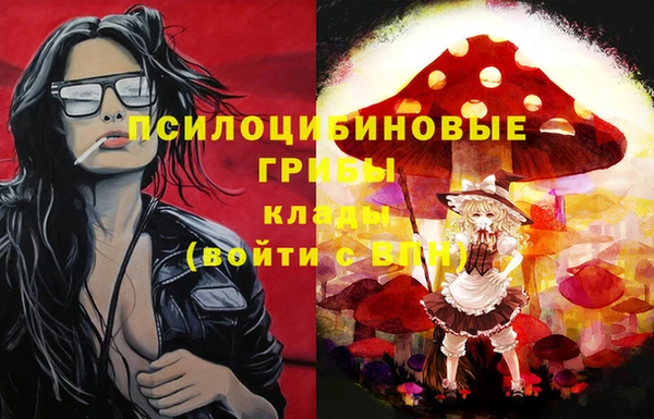 тгк Богданович