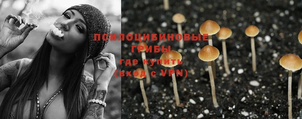 PSILOCYBIN Богородицк