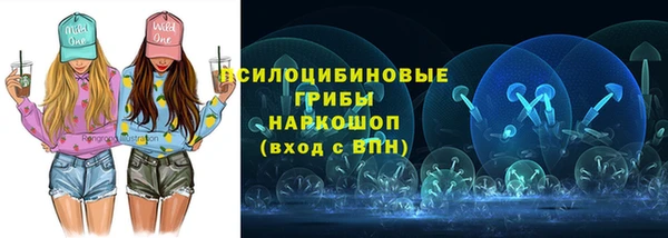 тгк Богданович