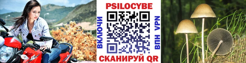 Купить закладки  Мичуринск  Галлюциногенные грибы ЛСД 